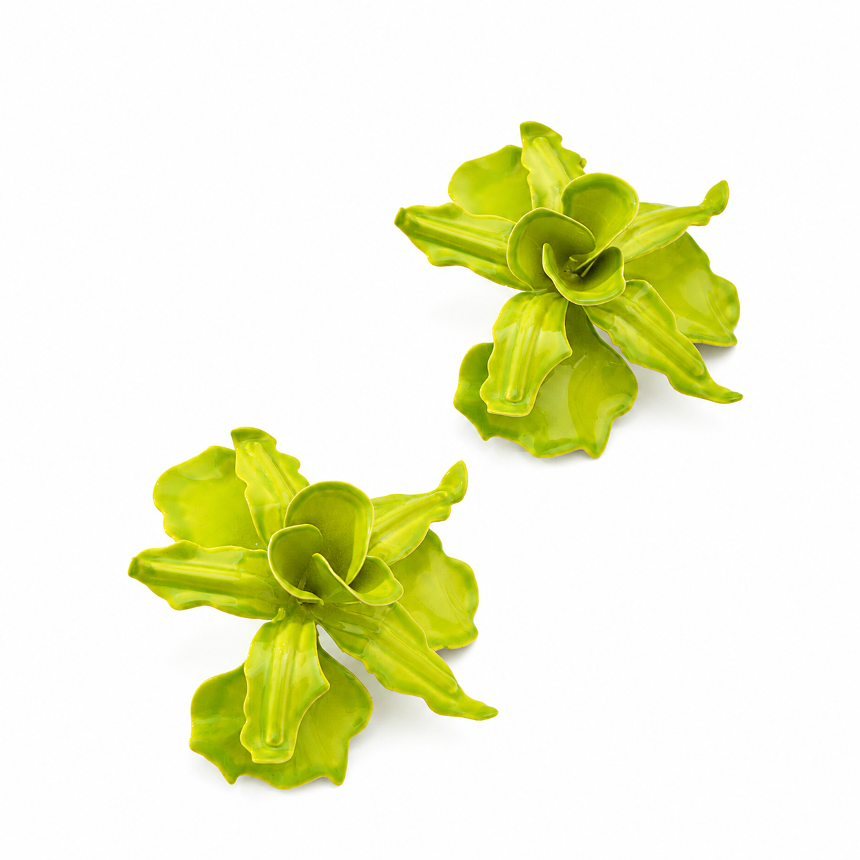 Tropicana Earrings